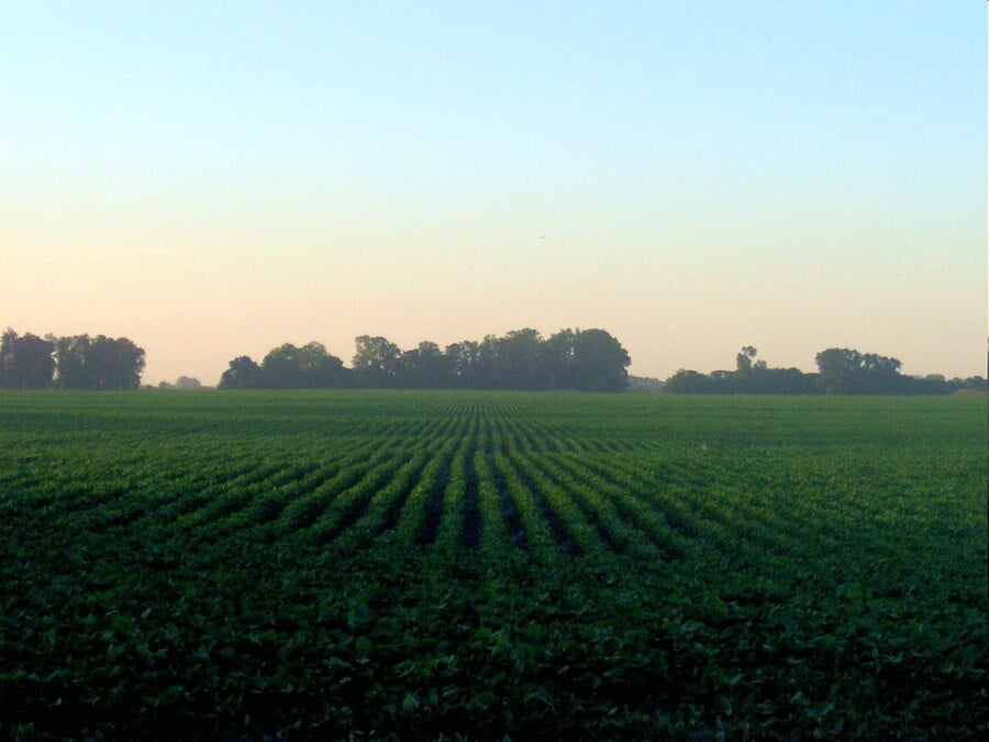 20 L ha: La Medida Clave que Todo Agricultor Debe Conocer