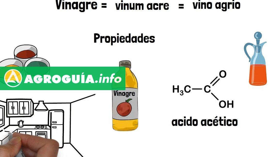 7 Usos Sorprendentes del Vinagre de Alcohol que No Conocías