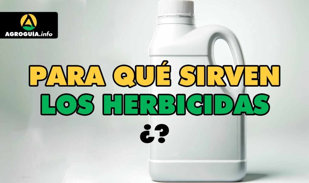 2,4 D: ¡Todo lo que DEBES saber de este HERBICIDA!
