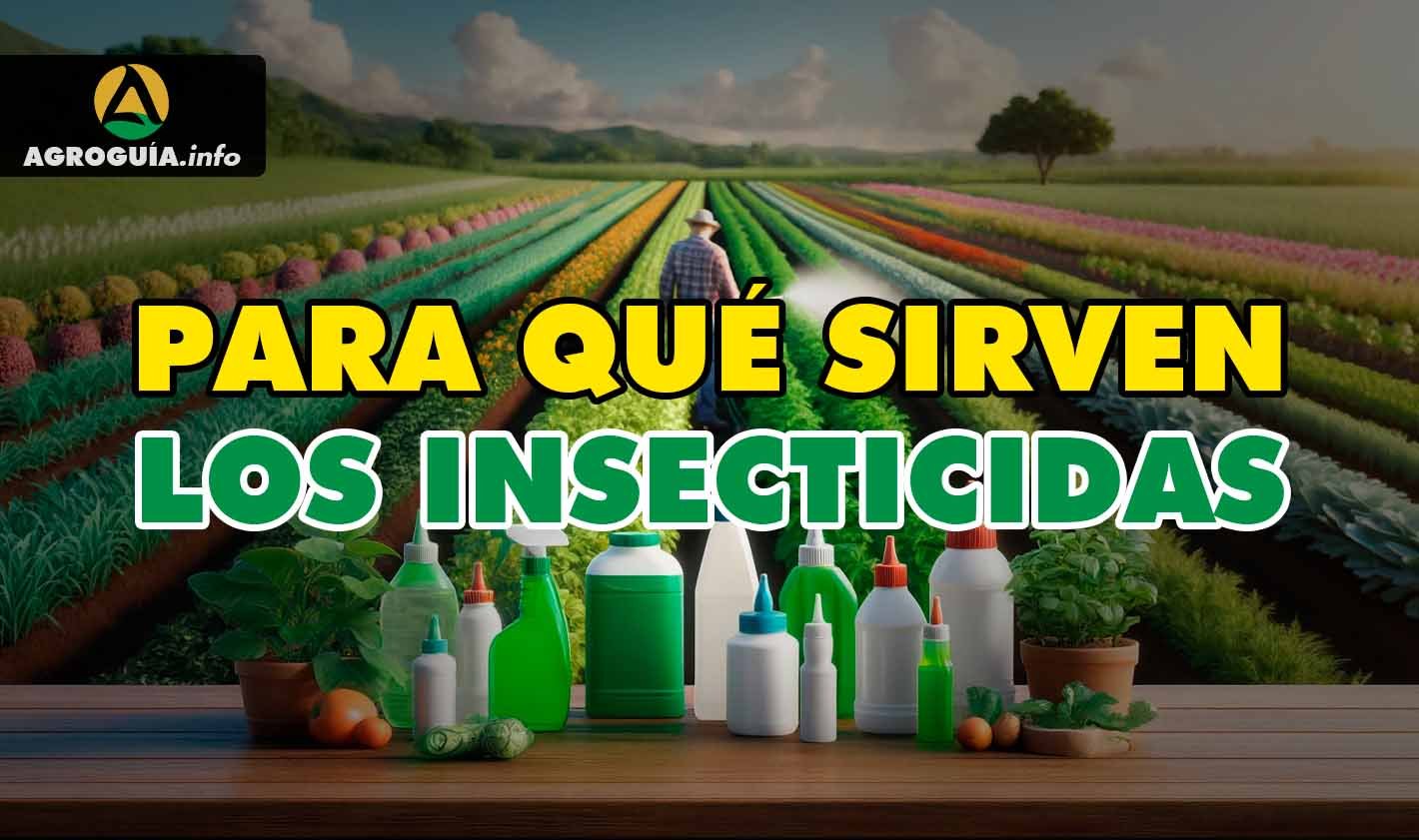 para que sirven los insecticidas