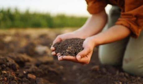 ¡Agricultura Limpia y Productiva: La Clave para Suelos Saludables!