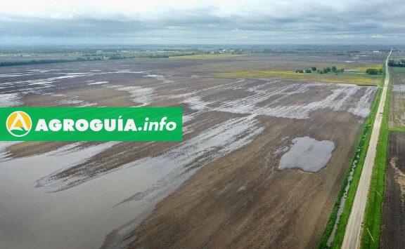 Agua en Polvo: La Revolución que Cambiará la Agricultura