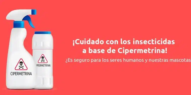 “Aprende todo sobre la cipermetrina: Usos, beneficios y precauciones”