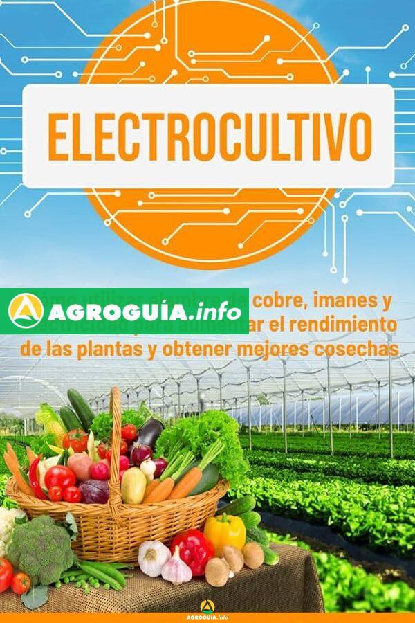 Cobre Metálico: El Secreto Mejor Guardado para Cultivos Saludables