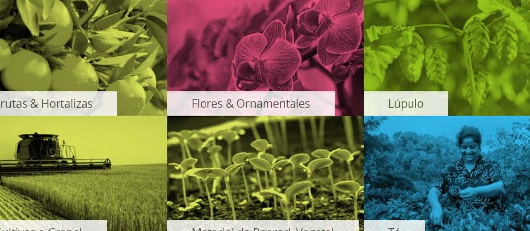 ¡Conoce todo sobre la certificación Global GAP en la agricultura!