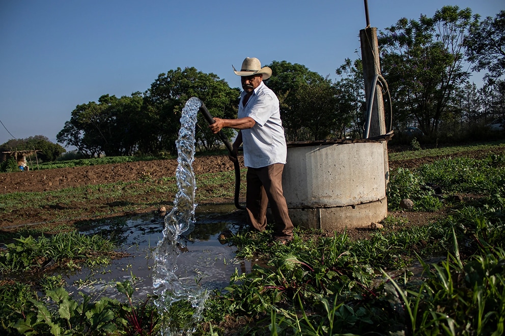 El Impactante Poder del Azufre Cúprico que Todo Agricultor Debe Conocer