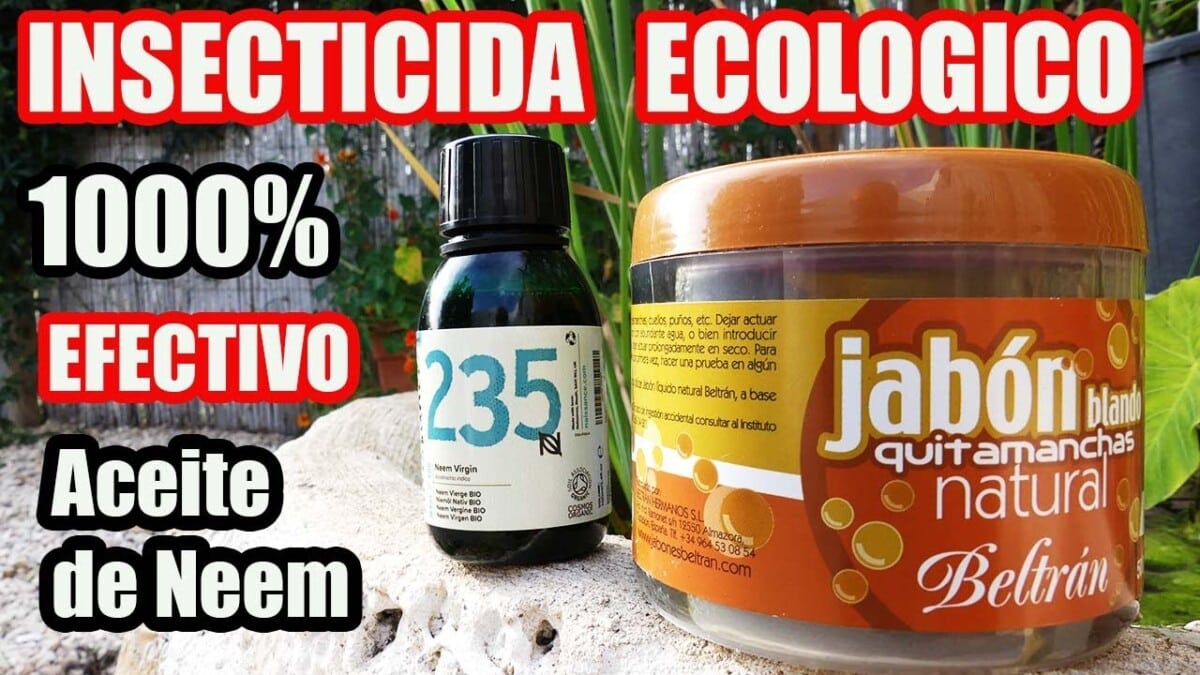 ¡El Poder Secreto del Insecticida y Acaricida Botánico de Neem!