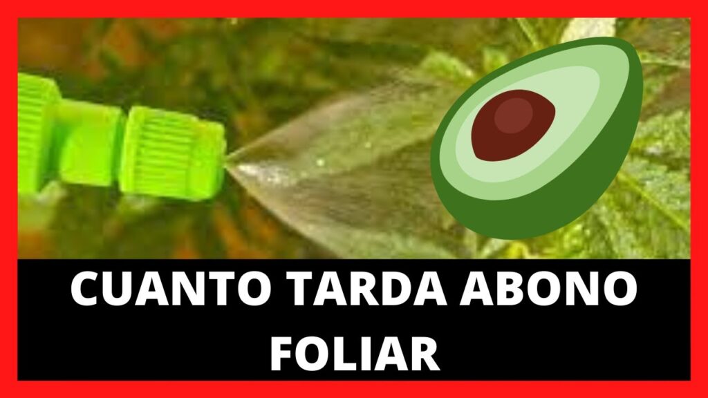 El secreto del abono foliar para olivos: ¡resultados sorprendentes!