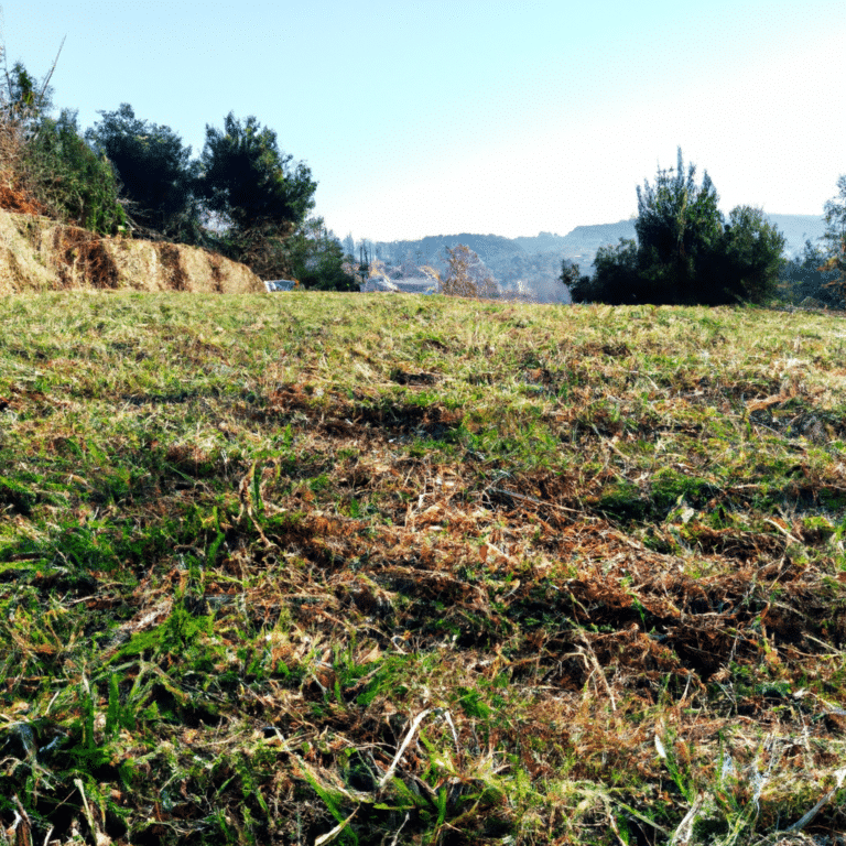 el secreto del abono para pasto que multiplica tu cosecha increiblemente