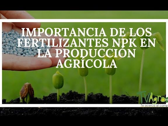 El secreto del éxito en la agricultura: NPK fertilizante al rescate