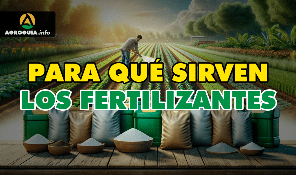 FERTILIZANTES