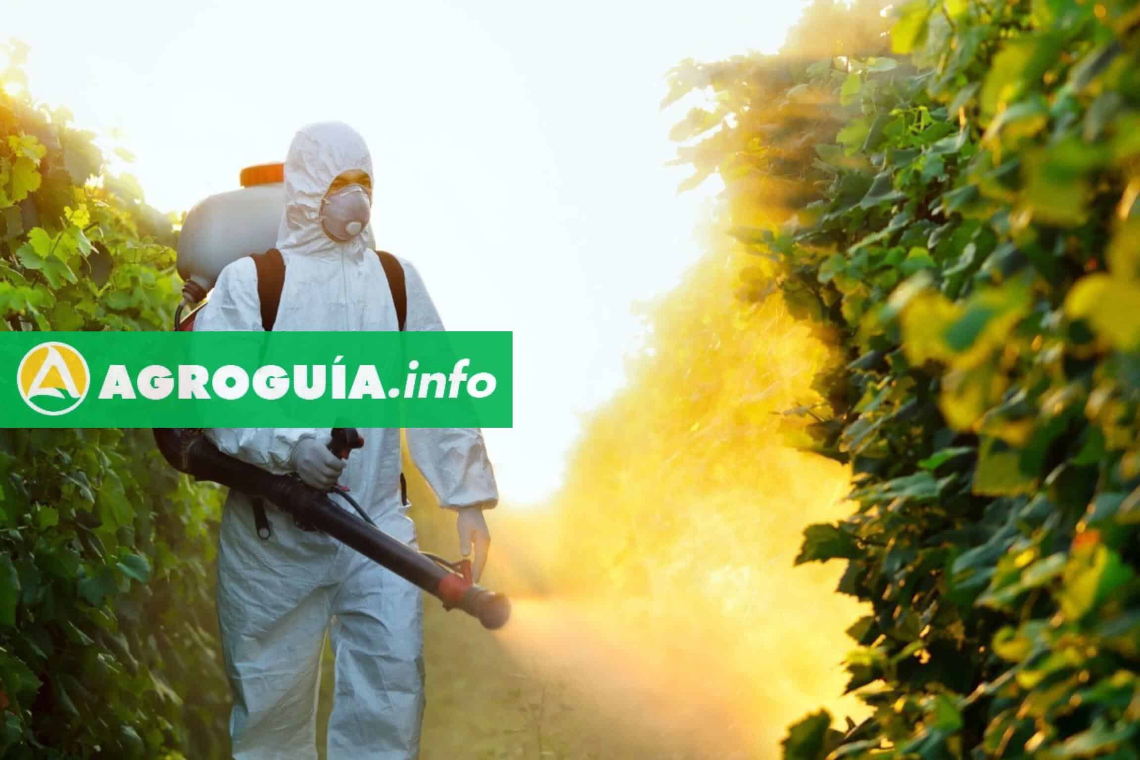 Increíbles Resultados: ¡Efectividad del Insecticida Orgánico que Sorprende a los Agricultores!