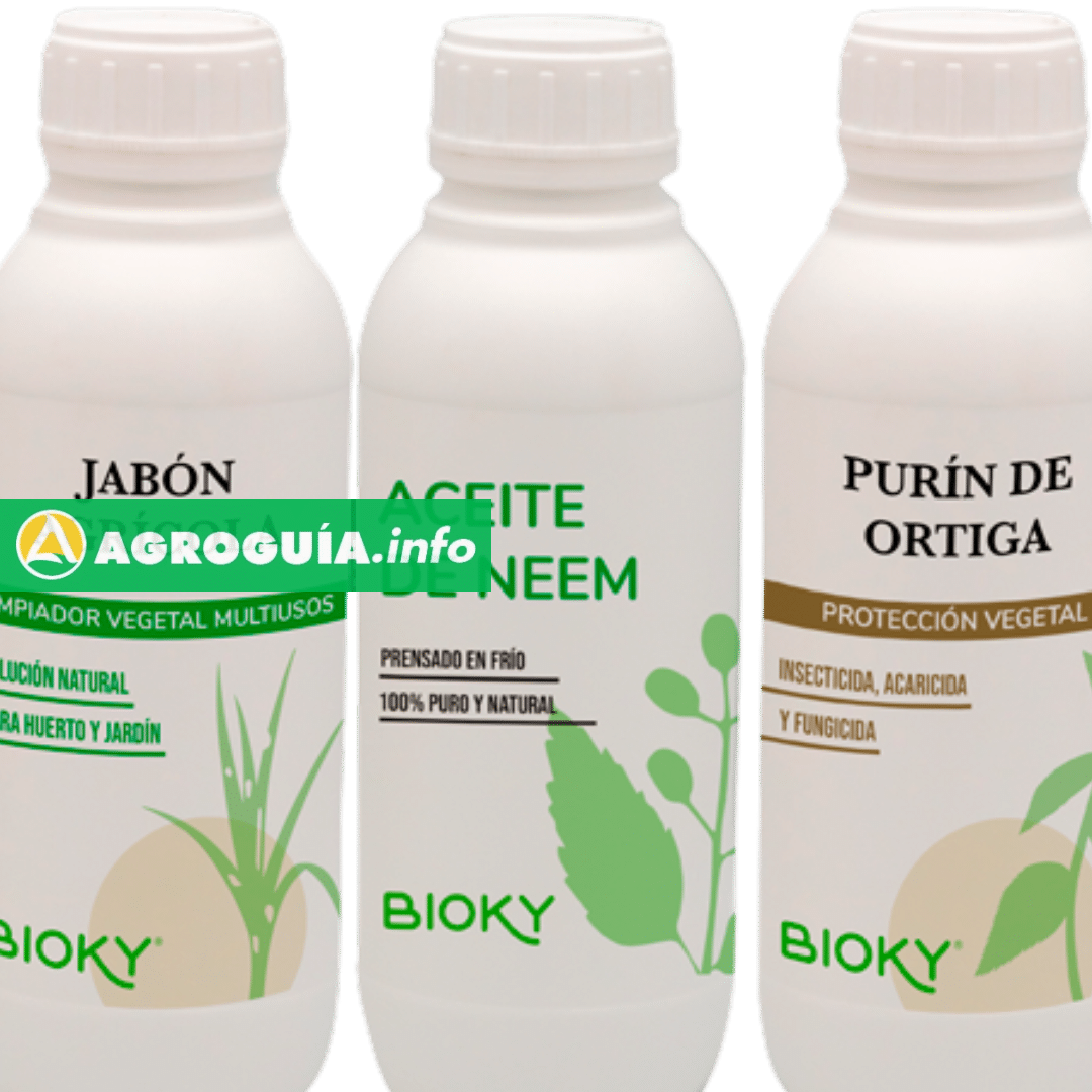 Jabón Potásico y Purín de Ortiga: El Secreto Definitivo para una Huerta Saludable