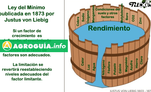 La Ley Mínimo de Liebig: El Secreto de la Agricultura Eficiente