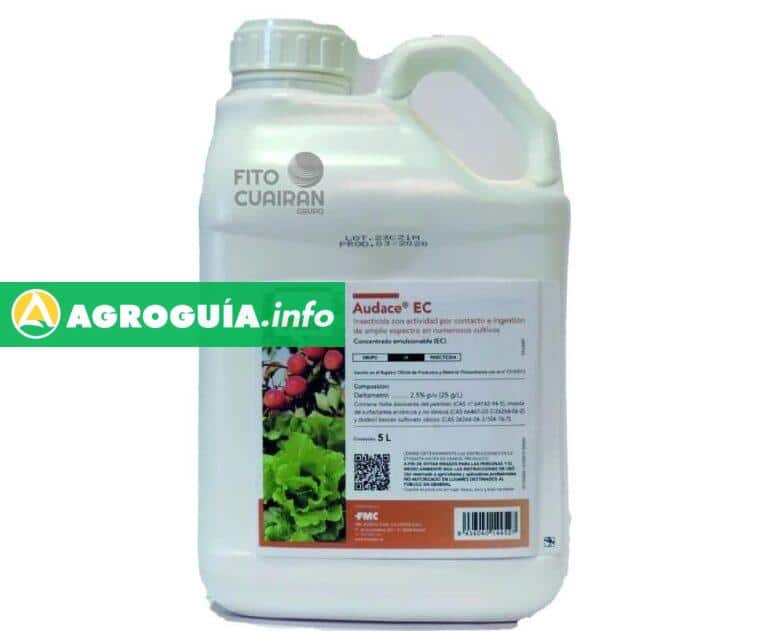 ¡La Solución Definitiva! Audace Insecticida que Revoluciona tu Cultivo