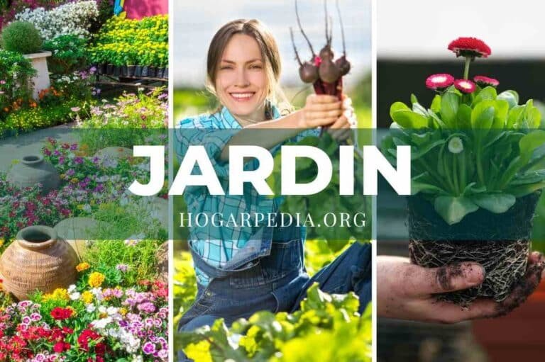 Los 10 productos de jardinería que transformarán tu jardín en un paraíso verde