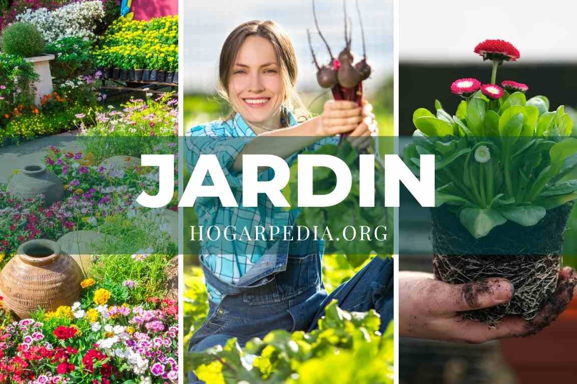 Los 10 productos de jardinería que transformarán tu jardín en un paraíso verde