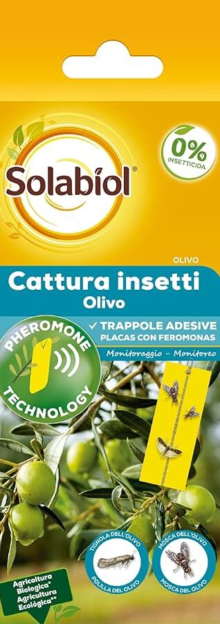 Los 5 mejores insecticidas para proteger tus olivos