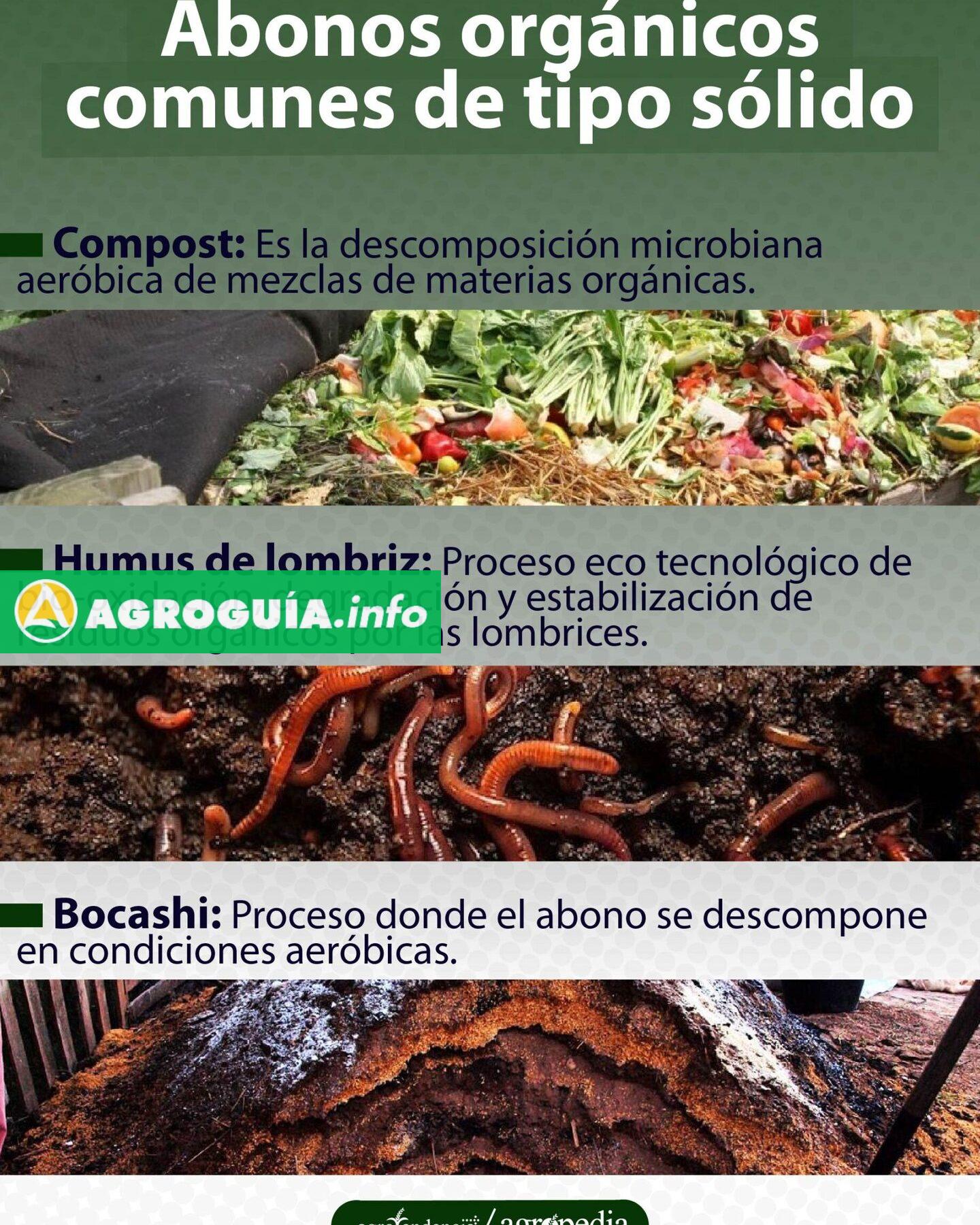 ¡Los 7 Tipos de Abono Agrícola que Transformarán tu Cosecha!