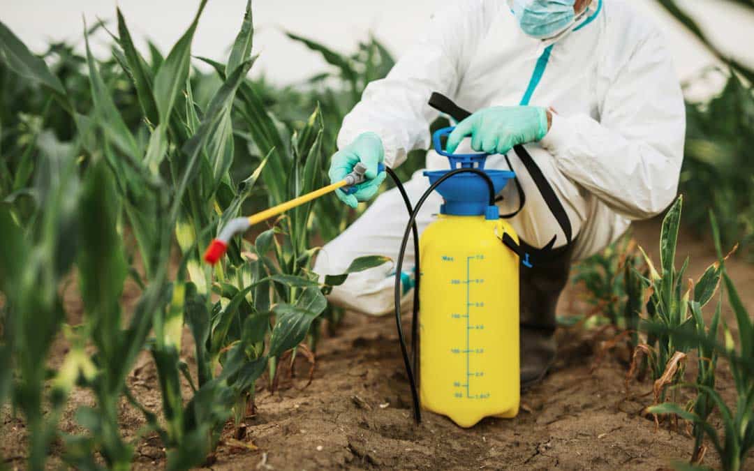 Los mejores productos de fumigación para proteger tus cultivos