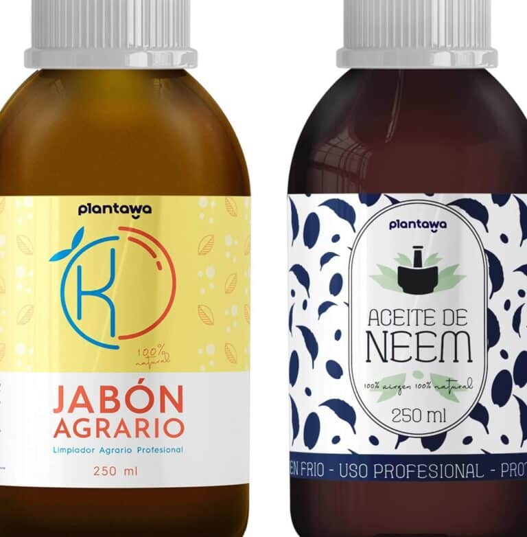 Los secretos del aceite de neem y jabón potásico para tu cultivo