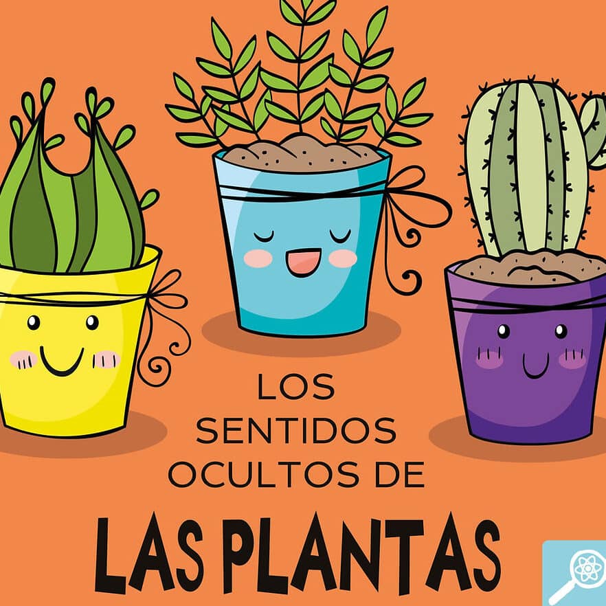 ¡Los secretos ocultos detrás de la planta ortiva al descubierto!