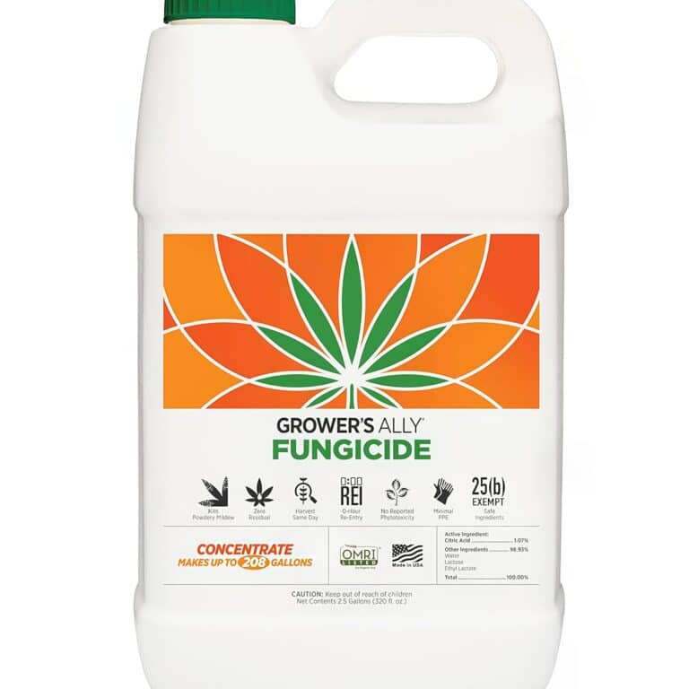 ¡Maximiza la eficacia de tu cultivo con Score Fungicida!