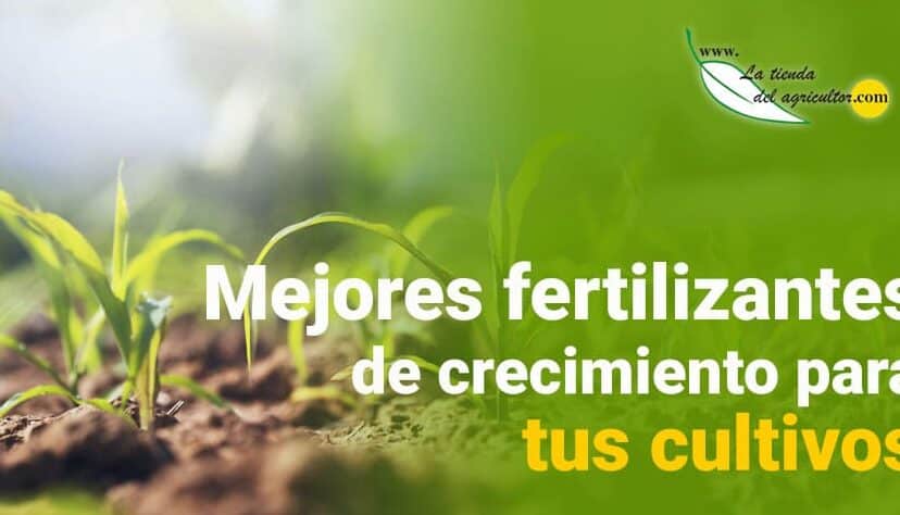 Potencia el crecimiento de tus plantas con abono foliar: ¡Conoce sus beneficios ahora!