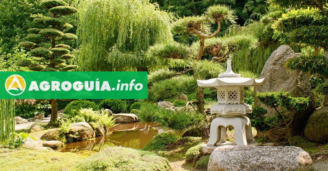 Secretos de la Jardinería Oriental que Transformarán Tu Espacio Verde