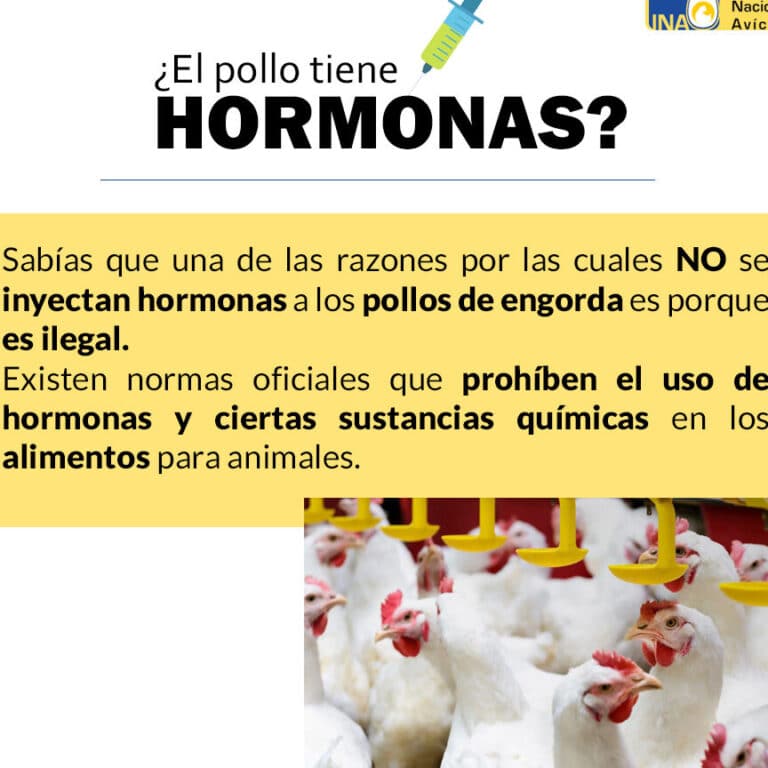 ¡Sorprendente verdad! ¿Sabías que el pollo tiene células?