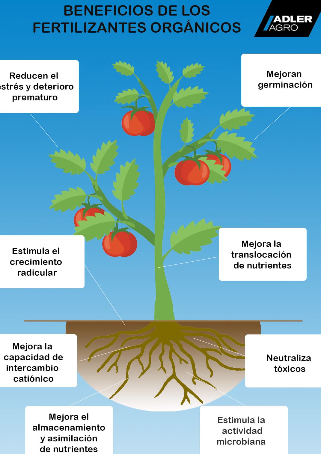 ¡Sorprendentes Razones Para Utilizar Fertilizantes Naturales!