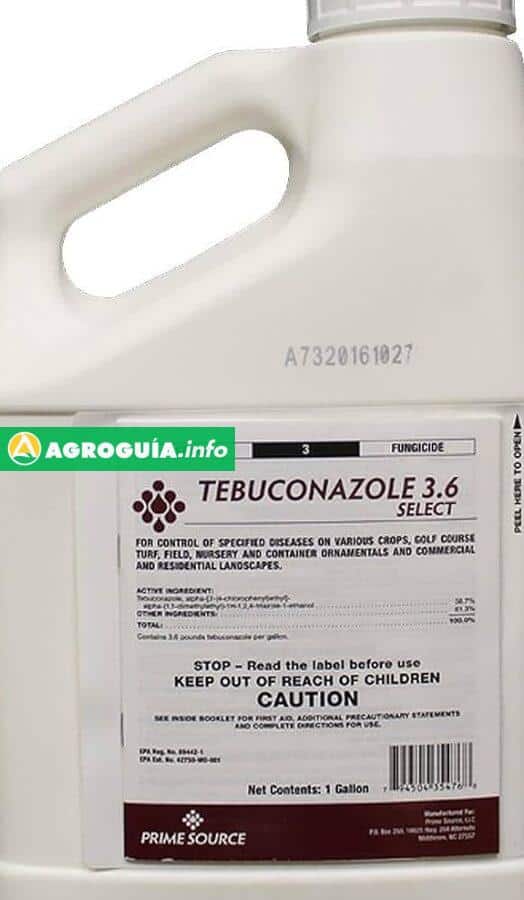 ¡Tebuconazol Polvo: El Secreto Esencial para tu Cultivo!