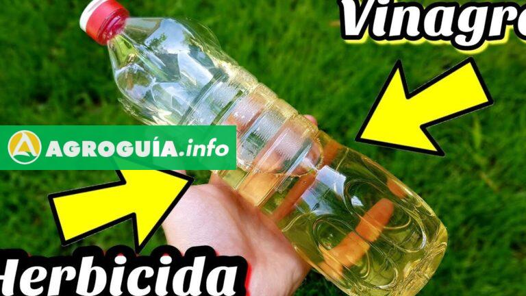 Vinagre Herbicida: ¡Aprende a Hacerlo en Casa Fácilmente!