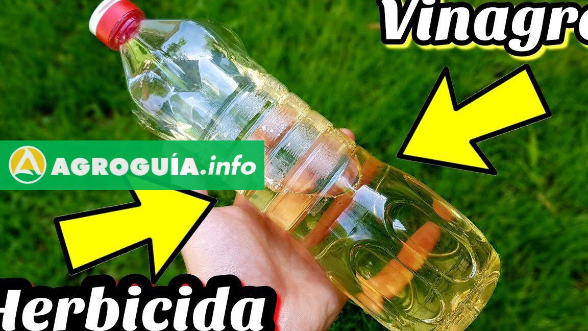 Vinagre Herbicida: ¡Aprende a Hacerlo en Casa Fácilmente!